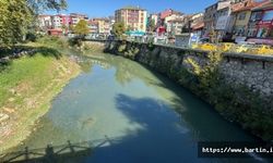 Oksijensiz Kalan Balıklar Ölmeye Başladı