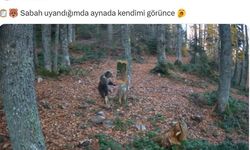 Sabah uyandığımda aynada kendimi görünce :)