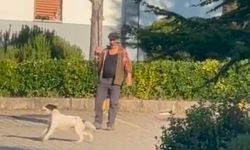 Oltaya bağladığı canlı güvercinle köpeğine eğitim yaptıran kişiye ceza