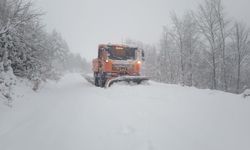 195 köyün yolu ulaşıma kapandı