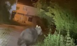 Köyde Korku Dolu Anlar