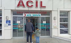 Başıboş köpeklerin saldırısına uğrayan Baturalp, yaralandı