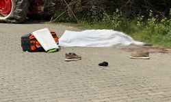 Arazi kavgasında kız kardeşi, eniştesi ve yeğenini öldürdü