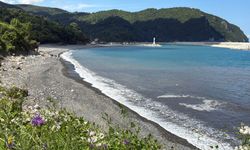 Amasra’da deniz siyaha büründü, gözler o şirkette