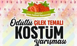 Festivalde Çilek Temalı Kostüm Yarışması