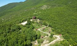 Milli Parkta bahar güzelliği dronla görüntülendi