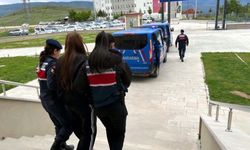Sahte araç kiralama siteleriyle 160 milyon TL dolandırıcılık