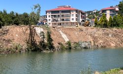 Belediye'den açıklama: Ağaç kesimiyle ilgimiz yok