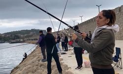 Amasra'da İstavrit Bereketi