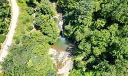 Doğa tutkunlarının gözdesi dron ile görüntülendi