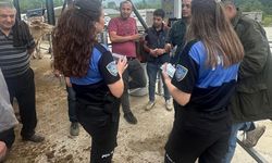 Kurbanlık alırken kurban olmayın