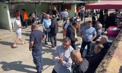 Bartın'da ilgi odağı 930 kiloluk tosun