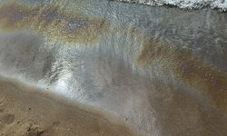 Mavi bayraklı İnkumu plajında çevre katliamı