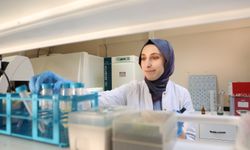 Bartın'da kereviz tohumunun kanser önleyici etkisi araştırılacak
