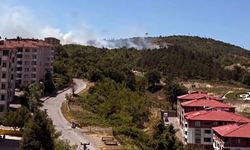 Aladağ’da Yangın