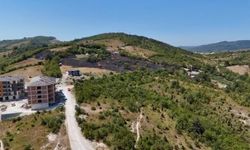 Aladağ tepesinde anız yangını ormana sıçradı