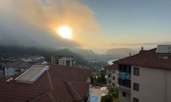 Aniden ortaya çıktı, korku dolu anlar