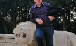Ormanda kestiği ağacın altında kalan Yunus Çelik öldü