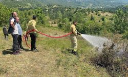 Kopan yüksek gerilim hattı teli yangın çıkarttı