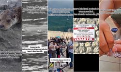 Amasra Limanı’nda Yasak Var Ama Denetim Yok