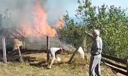 Bartın'da samanlık yangını
