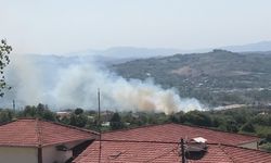Bartın'da peş peşe yangınlar çıktı