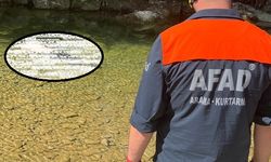 Kayıp Alzheimer hastası, dere kenarında ölü bulundu