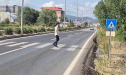 Yaya geçidi var ama yayanın geçebileceği yol yok