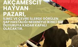 Akçamescit Hayvan Pazarı Yeniden Kapatıldı