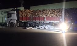 Brandayı toplarken otomobilin çarptığı TIR sürücüsü öldü