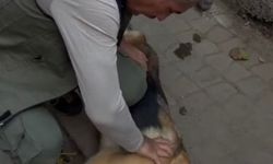 Öksüz'e 5 Dakika Kalp Masajı Yaptı Ama...
