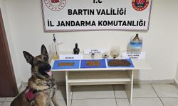 Bartın'da eve operasyon: 1 gözaltı