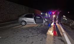 Yaban Hayvanı Yola Fırladı: 4 Kişi Yaralandı