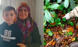 Kayıp telefon bulundu, 1 kişiye elektronik kelepçe takıldı