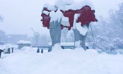 Bartın'da kuvvetli kar yağışı uyarısı