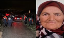 Ormanda defne yaprağı toplarken kaybolan kadın aranıyor