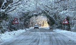 Ağaç Tünel Yol Kış Güzelliğiyle Büyülüyor