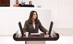 Bankoğlu: 2026 Bütçesi Halkın Taleplerini Karşılamıyor