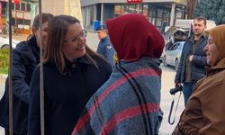 Vali Nurtaç Arslan Hasankadı’da