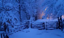 Bartın'da 20 Santimin Üzeri Kar Bekleniyor