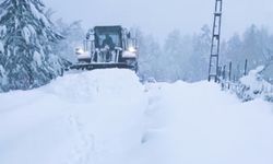 Bartın'da kar yağışı; 44 köy yolu ulaşıma kapandı