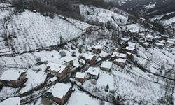 Bartın'da 16 evin duvarlarında çatlaklar oluştu