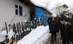 Vali Arslan, Heyelan Bölgesini İnceledi