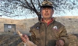 Kangal cinsi köpeği av tüfeğiyle vurarak öldüren şüpheli tutuklandı