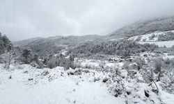 Bartın için kuvvetli kar yağışı uyarısı