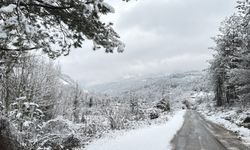 43 köy yolu ulaşıma kapandı, 10 köye elektrik verilemiyor