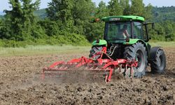 Bartın’da Kenevir 7 Yıldır Ekiliyor, izin ve denetim sürüyor