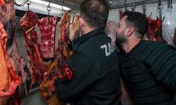 Bartın’da At Eti Alarmı: Belediye Harekete Geçti