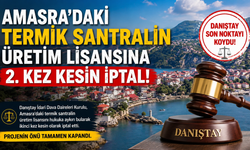 Amasra Termik Santraline Danıştay'dan Bir Darbe Daha