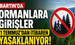 Bartın'da Ormanlara Girişler Yasaklanıyor !